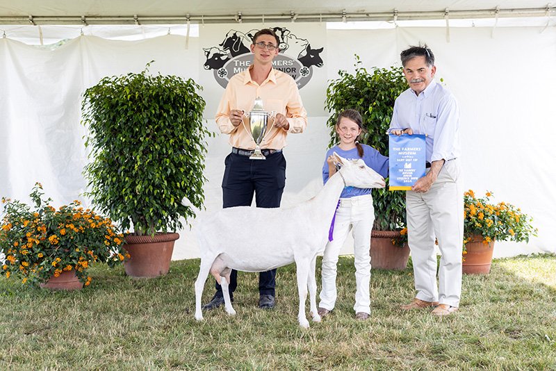 Dairy Goat Cup Winner: Olivia Hart of Richfield Springs, NY with her Recorded Grade Dairy Goat, Swamp-Hill Crystal. Also pictured: George Andrew, Dairy Goat Judge, and Paul D’Ambrosio, President & CEO of The Farmers’ Museum